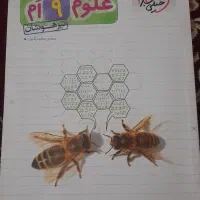 کتاب|کتاب و مجله آموزشی|سیرجان, |دیوار