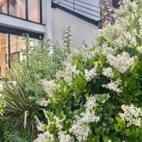 ویلایی تریبلکس/لوکس نشین/جنگل و دریا|فروش خانه و ویلا|رویان, |دیوار