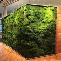 طراحی و اجرای ماس وال دیوار خزه‌ای