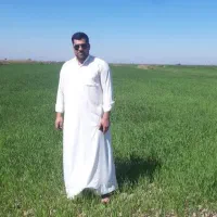 پخش عنبر بو خوزستان به قیمت عمده در پرند|خوردنی و آشامیدنی|پرند, فاز ۵|دیوار