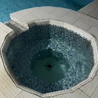 باغ ویلا دلچسب|اجارهٔ کوتاه‌مدت ویلا و باغ|مشهد, توس (بلوار توس)|دیوار