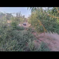 باغ در قزوین بفروش میرسد