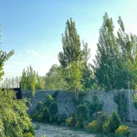 باغچه-شهرکی-410متری-سهیلیه-لشگراباد
