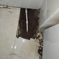 نشت یابی و تعمیر لوله کشی آب و فاضلاب فوری|خدمات پیشه و مهارت|اهواز, پادادشهر|دیوار