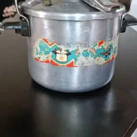 زودپز برند پروانه