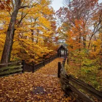 زمین قابل ساخت 250 متری