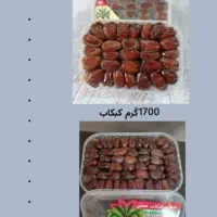 فروش عمده خرما کبکاب عسلی تنها نماینده در البرز
