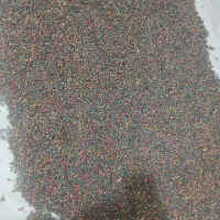 قلنگ تازه امروز