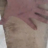 تخته چوب روسی