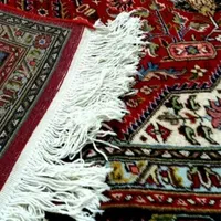 قالیشویی مبلشویی کوهک دهکده شهرزیبا اشرفی کاشانی|خدمات نظافت|تهران, فردوس|دیوار
