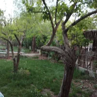 اجاره (شبانه،کوتاه مدت)|اجارهٔ کوتاهمدت ویلا و باغ|سپیدان, |دیوار