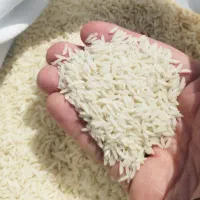 برنج طارم هاشمی