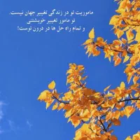استخدام در داروخانه