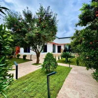 ویلا-باغ-مرکبات-380-متری-مدرن-سند-دار