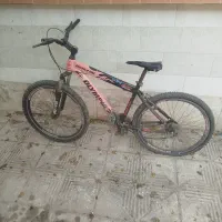 دوچرخه سایز24،20،16|دوچرخه، اسکیت، اسکوتر|شیراز, کفترک|دیوار