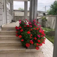 فروش ویلا سمت دریا معاوضه با اپارتمان دررشت|فروش خانه و ویلا|رشت, حومه رشت|دیوار