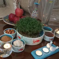 مغاز۴۰متری