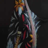 نی انبان حرفه ای