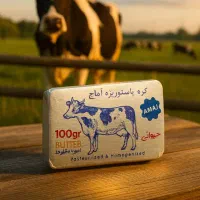 استخدام بازاریاب با حقوق بالا