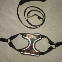 قلاده سگ سینی ادار