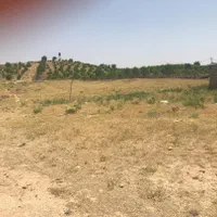 زمین ۴۰۰۰ متر مسکونی روستای ابگرم سپیدان طرح هادی|فروش زمین و ملک کلنگی|شیراز, دکتر حسابی|دیوار