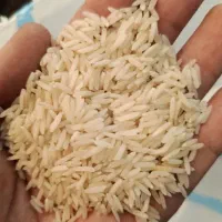 برنج هاشمی درجه یک هاشمی کشت دوم|خوردنی و آشامیدنی|تاکستان, |دیوار