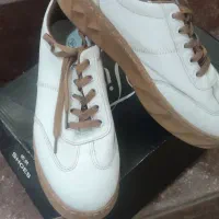 کفش شیک پوش امروزی