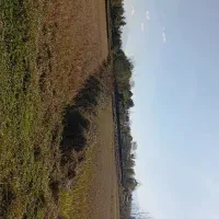 فروش زمین کشاورزی|فروش دفتر صنعتی، کشاورزی، تجاری|فومن, |دیوار