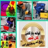 فنرزن هاشمی طوس دامپزشگی هوشیارآزادی طرشت سپه|خدمات پیشه و مهارت|تهران, استاد معین|دیوار