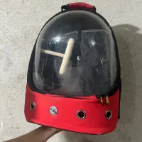 کیف حمل پرنده، گربه