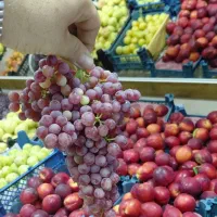 هایپر میوه یاری