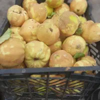 به درجه یک