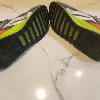 کفش reebook|کیف، کفش، کمربند|شیراز, قلات|دیوار