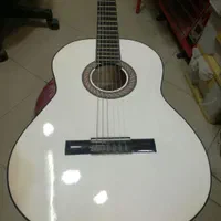 پخش  وفروشانواع گیتار ایرانی  وخارجی|گیتار، بیس، امپلیفایر|همدان, |دیوار