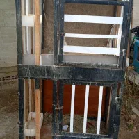 گنجه لاری دوتایی دو عدد