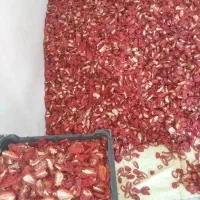 گوجه خشک دوقارچ خورشیدی واسلایس