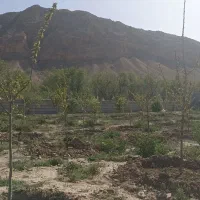 فروش باغ دیوار کشی شده با مجوز ساخت