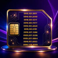 0919-551-2040