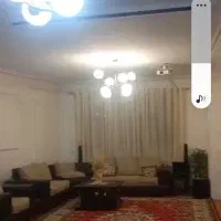 فرش ۱۲ متری زیبا|فرش|رشت, چله خانه|دیوار