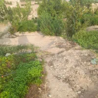 زمین-زراعی-باغی-شهرک-تماشا-کرشت-پردیس-بومهن