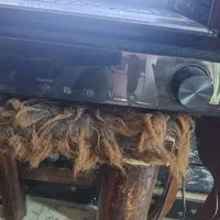 سینما خانواده سامسونگ