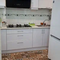 خانم جهت نظافت منزل