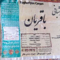فرش ۵۰۰ شونه|فرش|ابهر, |دیوار