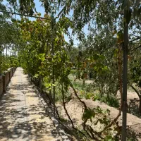 فروش-باغ-ویلا