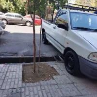 به دنبال بارم، کاری باری