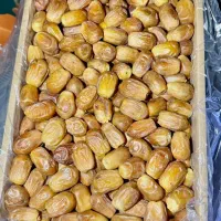 استخدام کارمند خانم