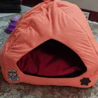 جای خواب گربه و سگ کوچک