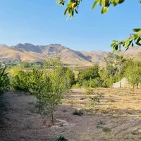 باغ|فروش زمین و ملک کلنگی|تهران, شهرآرا|دیوار