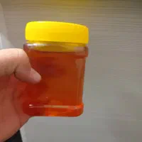 عسل عمده فروش بالا ۵۰۰کیلو