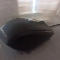 موس GREEN|قطعات و لوازم جانبی رایانه|اشنویه, |دیوار